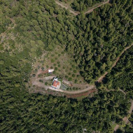 Dream House Capturing The Magic Of Nature Vlachia Esterno foto