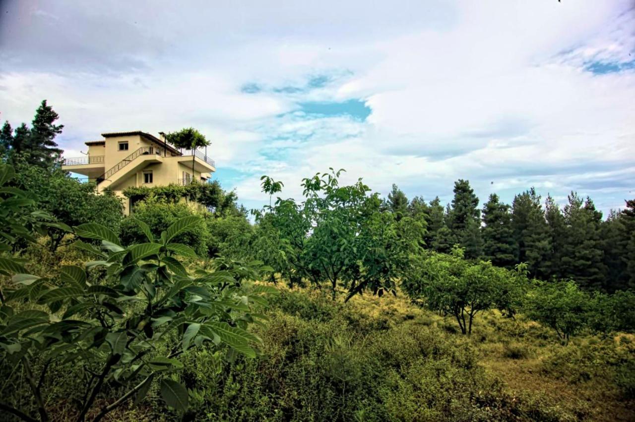 Dream House Capturing The Magic Of Nature Vlachia Esterno foto