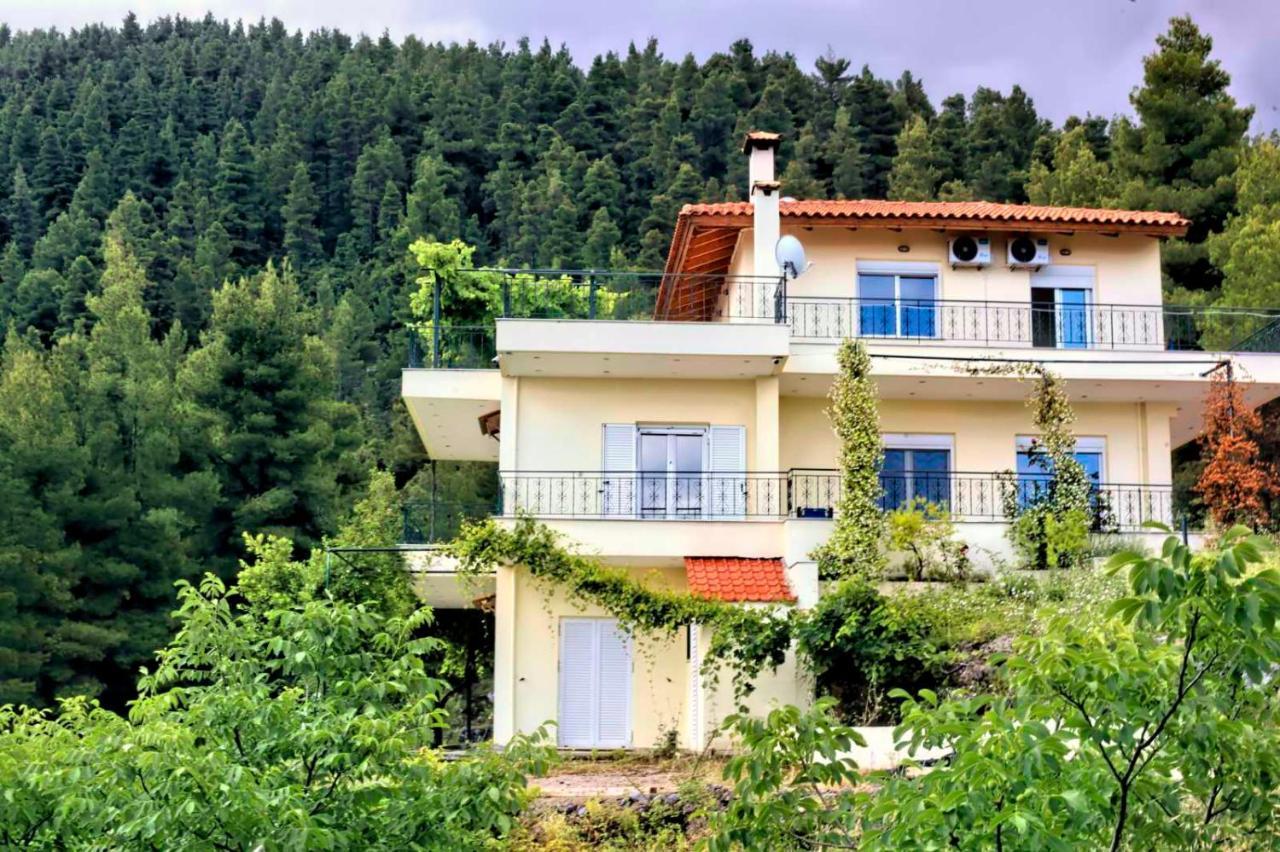 Dream House Capturing The Magic Of Nature Vlachia Esterno foto