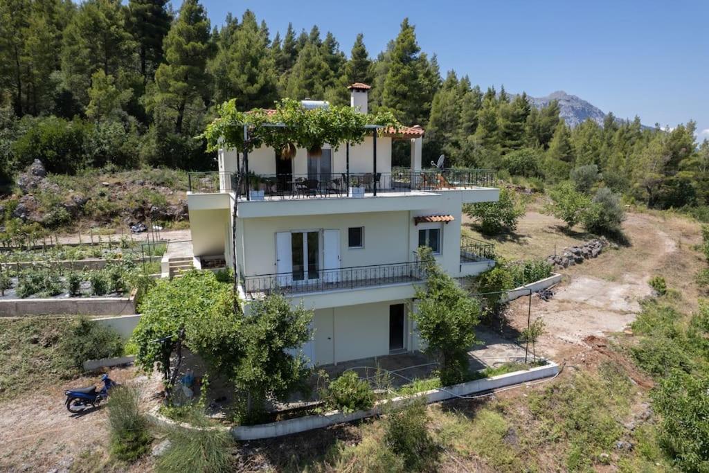 Dream House Capturing The Magic Of Nature Vlachia Esterno foto