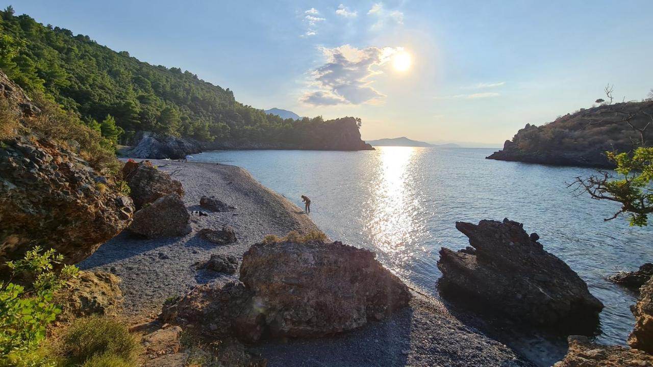 Dream House Capturing The Magic Of Nature Vlachia Esterno foto